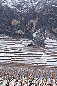 Snow-covered vineyards between the towns of Martigny and Sion, Rhone Valley, canton of Valais, Switzerland