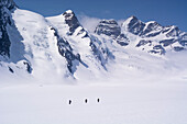 Three backcountry skiers on the vast glacial plain of Konkordiaplatz or Concordia, with the summit of the Jungfrau in the background, Great Aletsch Glacier, Bernese Alps, canton of Valais, Switzerland