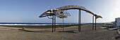 Skelett von Wal am Strand, Fuerteventura, Kanarische Inseln, Spanien