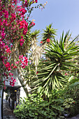 Casa Santa María, Patio, Betancuria, Fuerteventura, Kanaren, Spanien