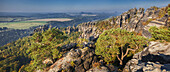 Panorama of Schrammsteine in the morning sun seen from the Elbtalaussicht, Saxon Switzerland National Park, Saxony, Germany