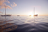 Sailboats in backlight, Dominica, Lesser Antilles, Caribbean