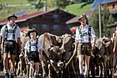 Traditioneller Viehscheid, Allgäu, Bayern, Deutschland