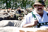 Mann in Tracht beim Viehscheid, Allgäu, Bayern, Deutschland
