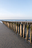 Strand, Buhne, Domburg, Nordsee-Küste, Provinz Seeland, Niederlande