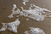 beach, foam, Domburg, North Sea Coast, Zeeland, Netherlands