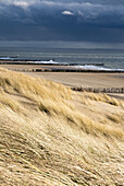 coast, sandy beach, groyne, Westkapelle near Domburg, North Sea Coast, Zeeland, Netherlands