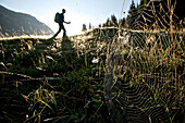 Spinnennetz auf einer Wiese vor einem Wanderer, Oberstdorf, Bayern, Deutschland