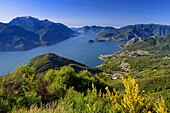 Managgio (right-hand side) on the western shore of Lake Como, on the opposite shore is the town of Varenna and above it Grigna Settentrionale (2408 m), Italy