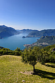 Blick vom Rifugio Menaggio auf Menaggio (rechts) am Westufer des Comer Sees, Italien