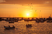 Fishing boats at sunset, Salaverry near Trujillo, La Libertad, Peru