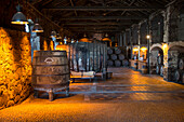 Port wine barrels in cellar of Burmester winery, Porto, Norte, Portugal
