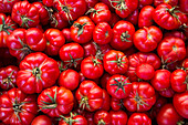 Reife rote Tomaten an einem Verkaufsstand am Ballaro Markt, Palermo, Sizilien, Italien, Europa