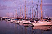 Sailboats at Larnaca marina at dusk, Larnaca, Larnaca, Cyprus