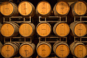 Wine casks in cellar at Feudo Principi di Butera winery, Deliella, near Butera, Sicily, Italy