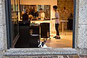 Small dog waits patiently on doorstep of beauty salon, Cagliari, Sardinia, Italy