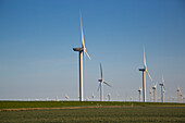 Wind turbines along field with sheep on levee near Wadden Sea, near Bredstedt, Nordfriesland, Schleswig-Holstein, Germany