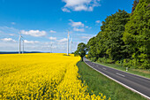 Bundesstraße B62 und Windräder inmitten von blühenden Rapsfeldern, nahe Alsfeld, Vogelsberg, Hessen, Deutschland, Europa
