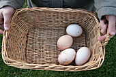 Person holding basket of fresh eggs, cropped