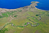 Luftbild (Aerial) von Fluss. Wald und Halbinsel im See Thingvallavatn, Nationalpark, Thingvellir, UNESCO Welterbe, Goldener Ring,  Südisland, Island, Europa
