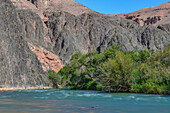 Flussufer des Scharyn, Scharyn Canyon, Scharyn Nationalpark, Region Almaty, Kasachstan, Zentralasien, Asien