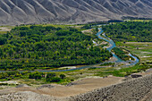 Oasis with primeval forest from ice-age with ancient turanga and ash trees Sharyn River, Almaty region, Kazakhstan, Central Asia, Asia