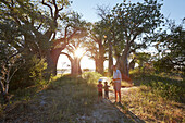 Family between Baobab trees at sunset, Tutume, Nxai Pan National Park, Botswana