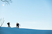 Backcountry snowboarder and snowshoe hikers at dusk in the Tennengebirge mountains, Bischofsmuetze in the background, Salzburg, Austria