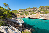 beach and bay with turquoise blue sea, near Calo des Moro, Mediterranean Sea, near Santanyi, Majorca, Balearic Islands, Spain, Europe
