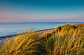 Beach and dunes, Heiligenhafen, Baltic Coast, Schleswig-Holstein, Germany