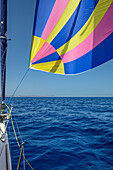 Sailing yacht with Gennaker in the Greek Islands, Aegean, Cyclades, Greece