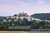 wheat field and lavender fields, lavender, Banon, village, Alpes-de-Haute-Provence, Provence, France
