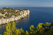 Calanque de Port-Pin, les Calanques, near Marseille, Cote d Azur, French Riviera, Mediterranean Sea, Bouches-du-Rhone, Provence, France, Europe