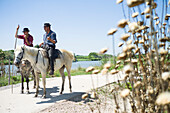 Gardians auf deren Camargue Pferd vor deren Manade, bei Aigues-Mortes, Camargue, Gard, Languedoc-Roussillon, Frankreich