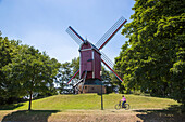 Windmill De Nieuwe Papegaai and cyclist on path along the Bruges - Ostend canal, Bruges (Brugge), Flemish Region, Belgium