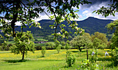 Frühling bei Brunn am Samerberg, Chiemgau, Oberbayern, Bayern, Deutschland