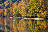 Herbststimmung am Hinterbruehler See, Muenchen, Oberbayern, Deutschland