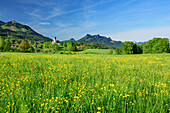 Blumenwiese vor Grainbach mit Feuchteck und Heuberg, Grainbach, Samerberg, Chiemgauer Alpen, Oberbayern, Bayern, Deutschland