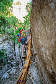 Frau klettert am Selvaggio Blu mithilfe von Baumstamm über Felswand, Selvaggio Blu, Nationalpark Golfo di Orosei e del Gennargentu, Sardinien, Italien