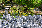 Karst rock at Selvaggio Blu, National Park of the Bay of Orosei and Gennargentu, Sardinia, Italy