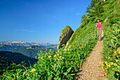 Woman hiking descending from Siplingerkopf, Gottesackerwaende and Hoher Ifen in background, Siplingerkopf, valley of Balderschwang, Allgaeu Alps, Allgaeu, Svabia, Bavaria, Germany