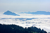 Gruenten emerging out of sea of fog, from Siplingerkopf, valley of Balderschwang, Allgaeu Alps, Allgaeu, Svabia, Bavaria, Germany