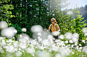 Woman hiking through meadow with cotton grass, Piesenkopf, valley of Balderschwang, Allgaeu Alps, Allgaeu, Svabia, Bavaria, Germany