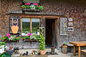 Türe und mit Blumen geschmückte Fenster an Alm, Balderschwanger Tal, Allgäuer Alpen, Allgäu, Schwaben, Bayern, Deutschland