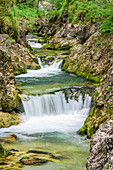 Bach fliesst durch Klamm, Weissbachklamm, Chiemgauer Alpen, Chiemgau, Oberbayern, Bayern, Deutschland