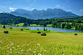 Meadow with flowers and haystacks, lake and Karwendel range in background, lake Geroldsee, Werdenfels, Garmisch-Partenkirchen, Bavarian Alps, Upper Bavaria, Bavaria, Germany
