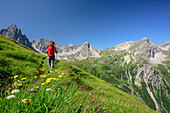 Woman hiking through meadow with flowers towards Dremelspitze, Schneekarlespitze, Parzinnspitze and Kogelseespitze, Lechtal Alps, Tyrol, Austria