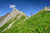 Woman hiking through meadow with flowers, rock spire in background, Lechtal Alps, Tyrol, Austria