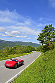 Biondetti Jaguar Special 1950 on a road, Oldtimer, Motor Race, Mille Miglia, 1000 Miglia, Radicofani, Tuscany, Italy, Europe