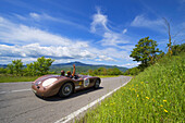 Jaguar C Type 1952 on a road, Oldtimer, Motor Race, Mille Miglia, 1000 Miglia, Radicofani, Tuscany, Italy, Europe
